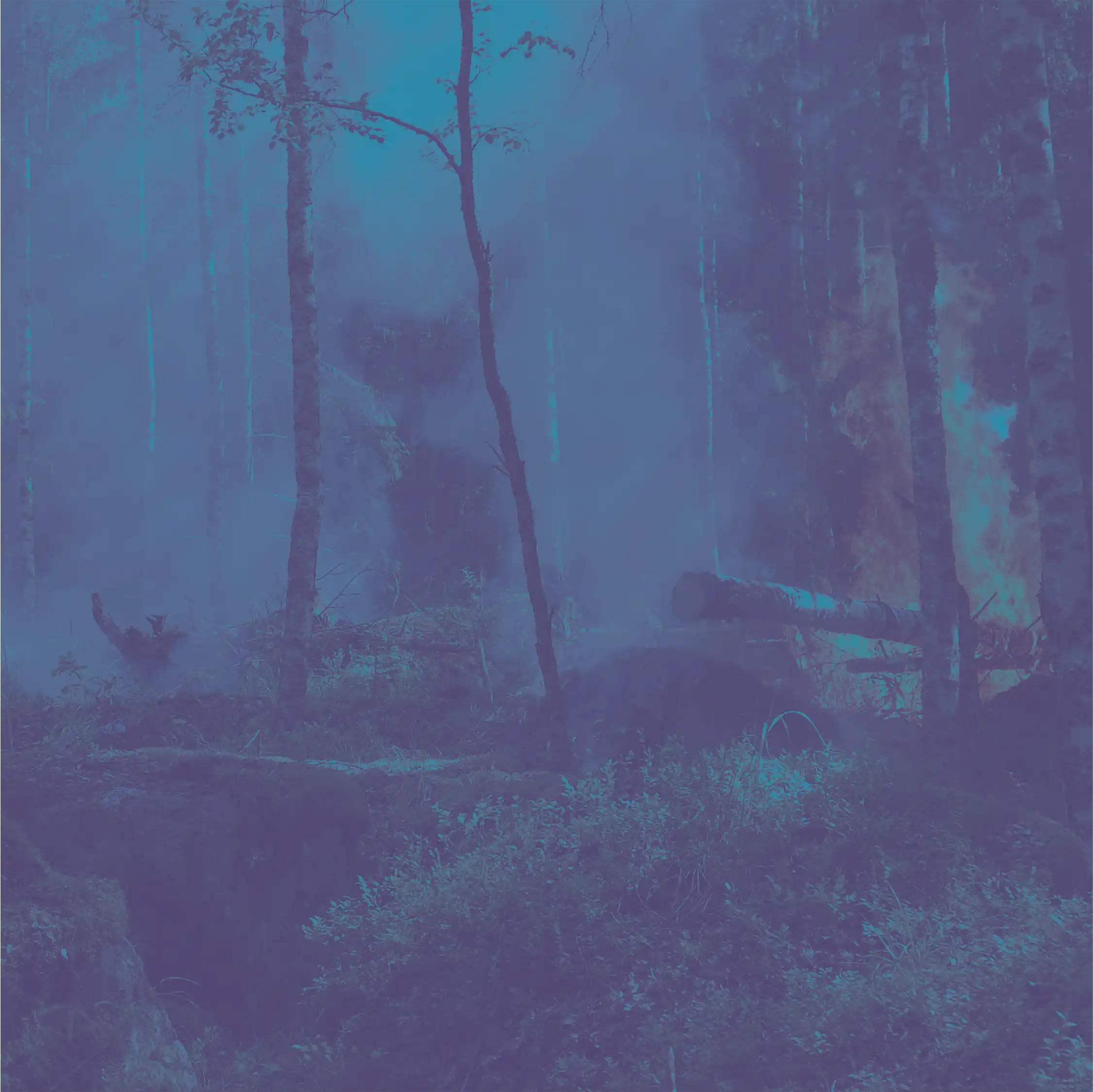 ANM face un pas semnificativ spre digitalizare prin implementarea unui sistem avansat de gestionare a dezastrelor naturale.