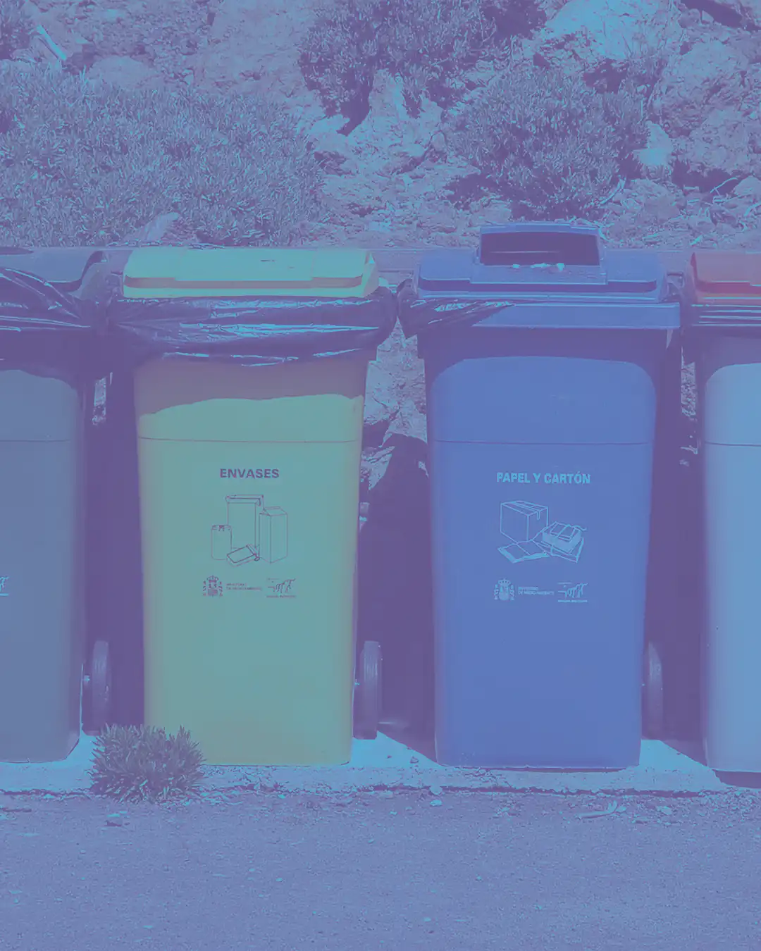 De la 1.100 la 5.000 de clienți: cum simplifică aplicația Registrul Deșeurilor obligațiile de mediu pentru IMM-uri